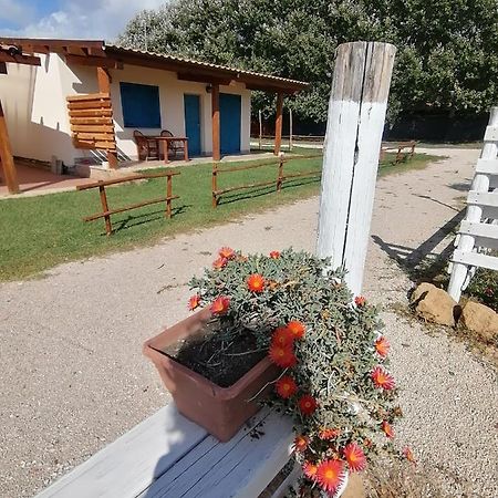 לידו דיי פיני Agriturismo Oca Giuliva מראה חיצוני תמונה