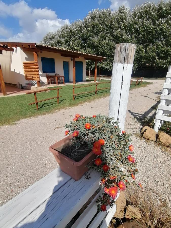 לידו דיי פיני Agriturismo Oca Giuliva מראה חיצוני תמונה